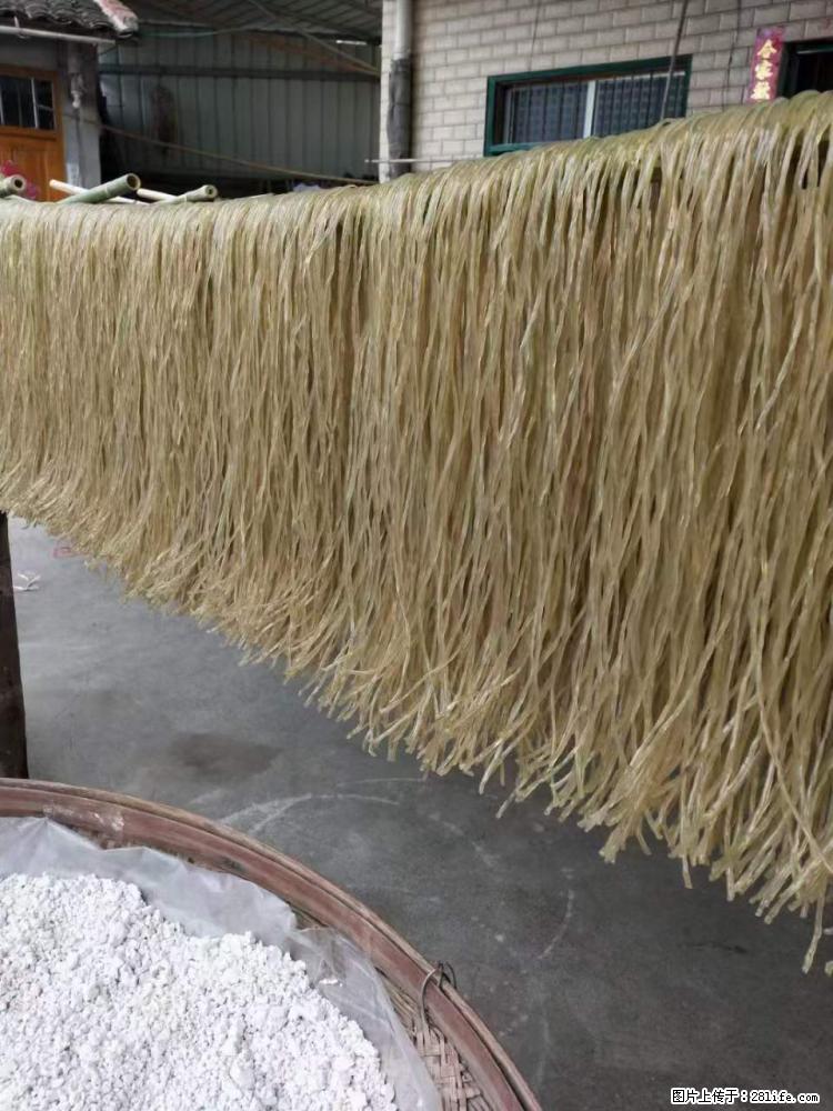 【灌阳正宗红薯粉】美女家里自己做的,干净卫生,假一赔十,价格合理,抢购电话:13737312895 - 美食天地 - 宁波生活社区 - 宁波28生活网 nb.28life.com