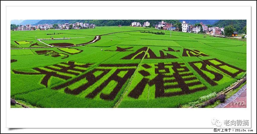 【春天,广西桂林灌阳县向您发出邀请!】开篇 - 游山玩水 - 宁波生活社区 - 宁波28生活网 nb.28life.com