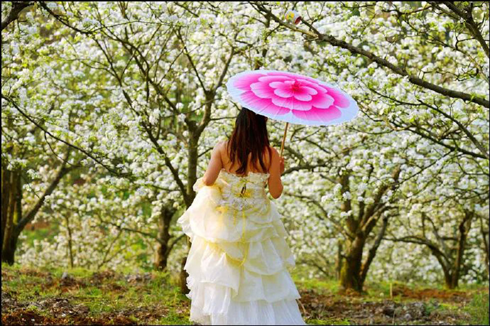 【春天,广西桂林灌阳县向您发出邀请!】我们在灌阳看梨花 - 游山玩水 - 宁波生活社区 - 宁波28生活网 nb.28life.com