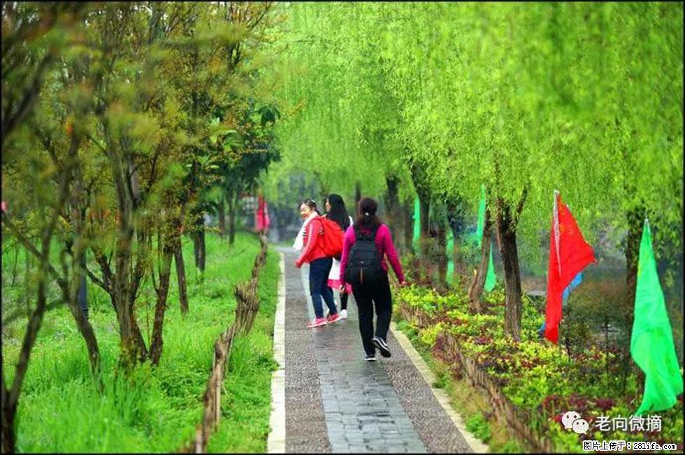 【春天,广西桂林灌阳县向您发出邀请!】江口老街又逢春 - 游山玩水 - 宁波生活社区 - 宁波28生活网 nb.28life.com