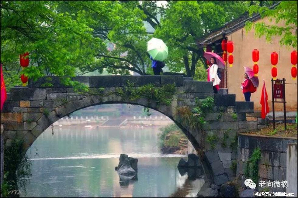 【春天,广西桂林灌阳县向您发出邀请!】江口老街又逢春 - 游山玩水 - 宁波生活社区 - 宁波28生活网 nb.28life.com