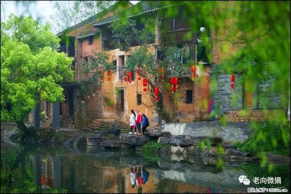 【春天,广西桂林灌阳县向您发出邀请!】江口老街又逢春 - 游山玩水 - 宁波生活社区 - 宁波28生活网 nb.28life.com