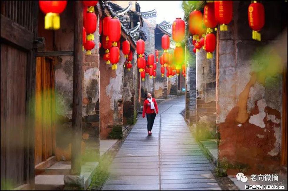 【春天,广西桂林灌阳县向您发出邀请!】江口老街又逢春 - 游山玩水 - 宁波生活社区 - 宁波28生活网 nb.28life.com