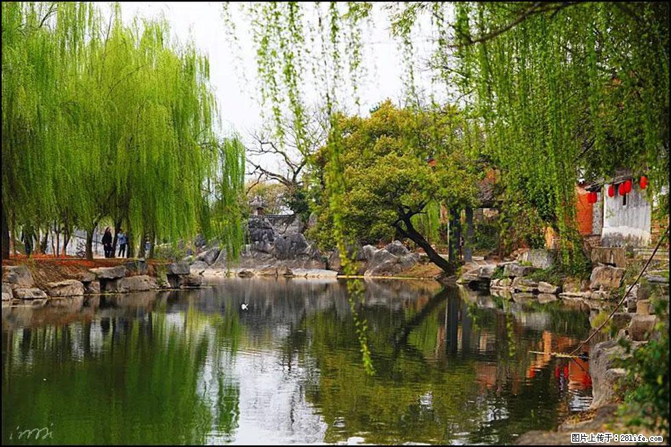 【春天,广西桂林灌阳县向您发出邀请!】江口老街又逢春 - 游山玩水 - 宁波生活社区 - 宁波28生活网 nb.28life.com