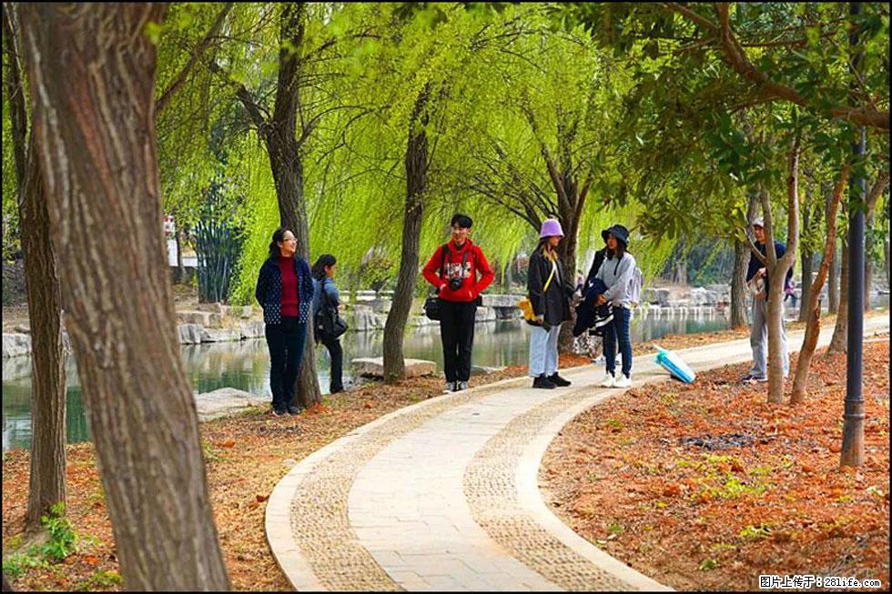 【春天,广西桂林灌阳县向您发出邀请!】江口老街又逢春 - 游山玩水 - 宁波生活社区 - 宁波28生活网 nb.28life.com