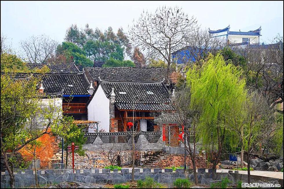 【春天,广西桂林灌阳县向您发出邀请!】江口老街又逢春 - 游山玩水 - 宁波生活社区 - 宁波28生活网 nb.28life.com