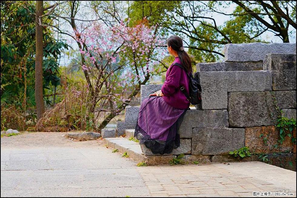 【春天,广西桂林灌阳县向您发出邀请!】江口老街又逢春 - 游山玩水 - 宁波生活社区 - 宁波28生活网 nb.28life.com