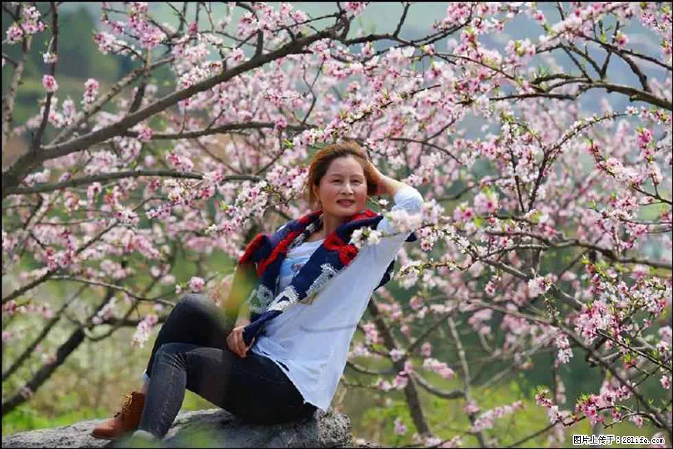 【春天,广西桂林灌阳县向您发出邀请!】望月岭上桃花开 - 游山玩水 - 宁波生活社区 - 宁波28生活网 nb.28life.com