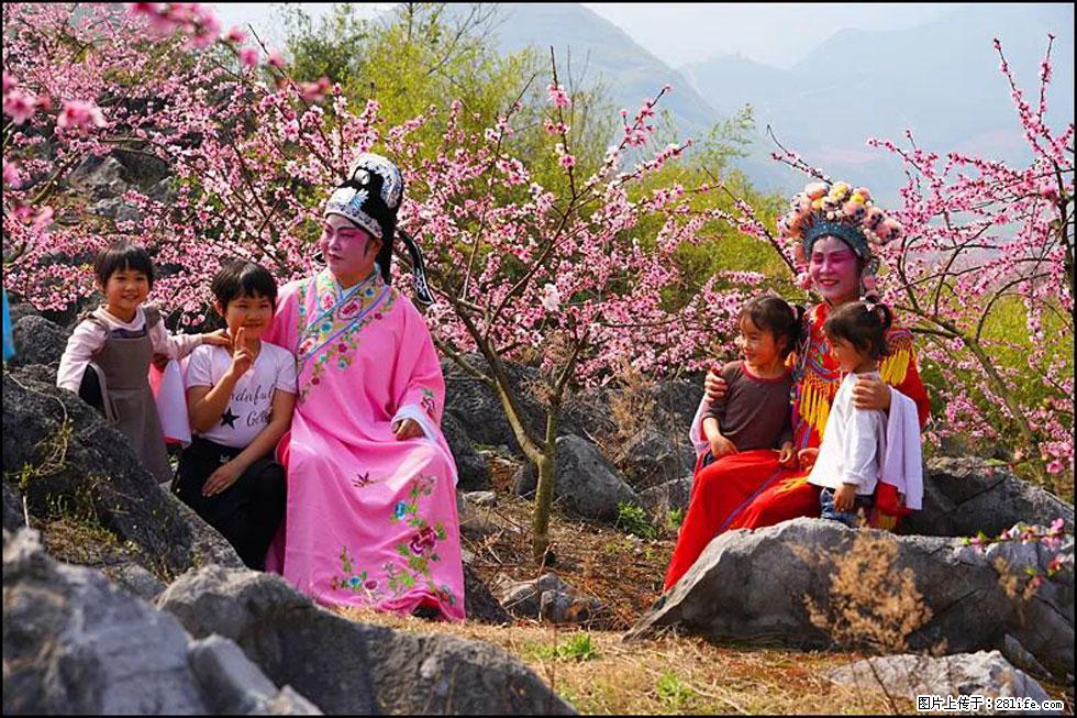 【春天,广西桂林灌阳县向您发出邀请!】望月岭上桃花开 - 游山玩水 - 宁波生活社区 - 宁波28生活网 nb.28life.com