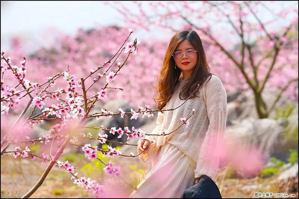 【春天,广西桂林灌阳县向您发出邀请!】望月岭上桃花开 - 游山玩水 - 宁波生活社区 - 宁波28生活网 nb.28life.com