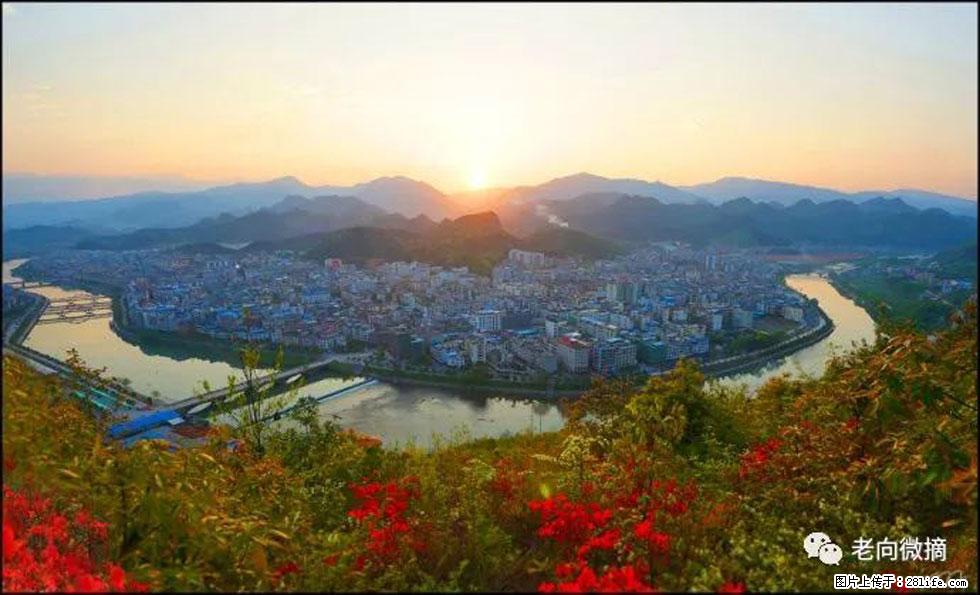 【春天,广西桂林灌阳县向您发出邀请!】登麒麟山,相约映山红 - 游山玩水 - 宁波生活社区 - 宁波28生活网 nb.28life.com