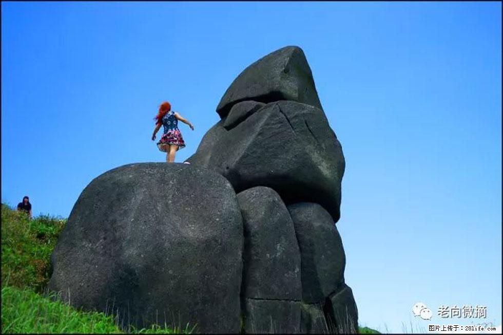 【春天,广西桂林灌阳县向您发出邀请!】宝盖山上映山红 - 游山玩水 - 宁波生活社区 - 宁波28生活网 nb.28life.com