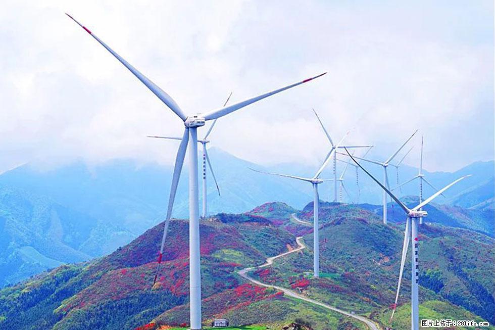 【春天,广西桂林灌阳县向您发出邀请!】春木界上映山红 - 游山玩水 - 宁波生活社区 - 宁波28生活网 nb.28life.com