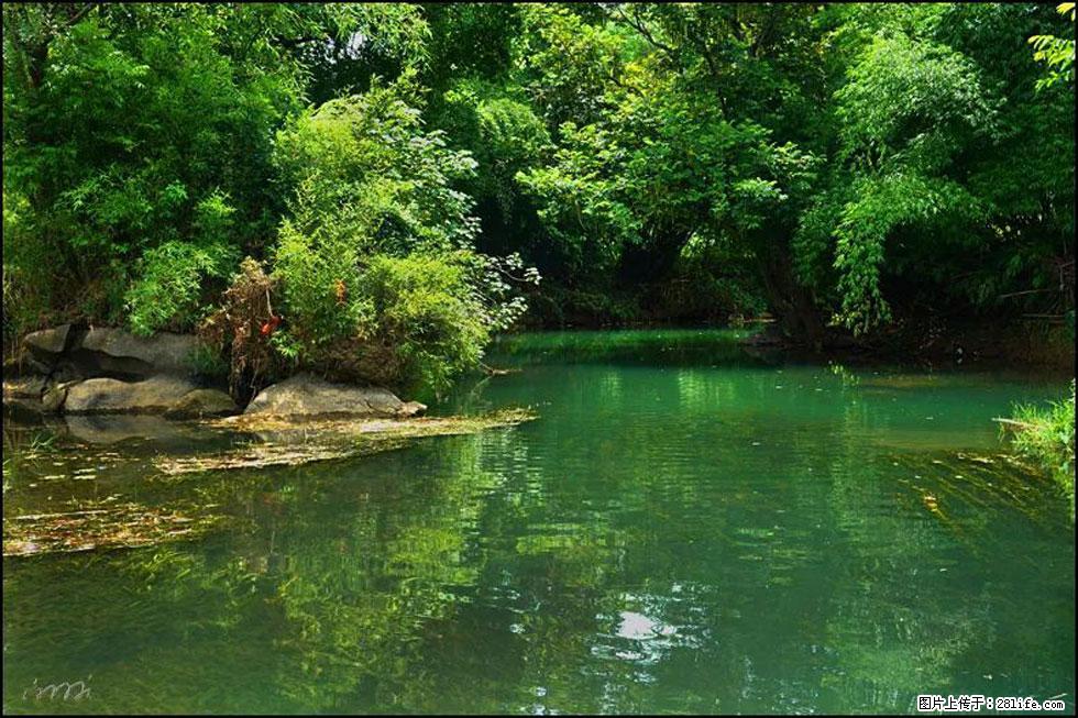 【春天,广西桂林灌阳县向您发出邀请!】如梦似幻莲溪庐 - 游山玩水 - 宁波生活社区 - 宁波28生活网 nb.28life.com