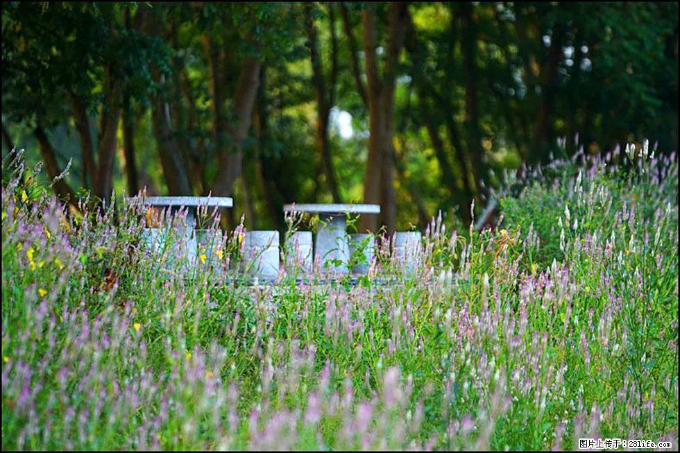 【春天,广西桂林灌阳县向您发出邀请!】熊家寨湿地公园 - 游山玩水 - 宁波生活社区 - 宁波28生活网 nb.28life.com