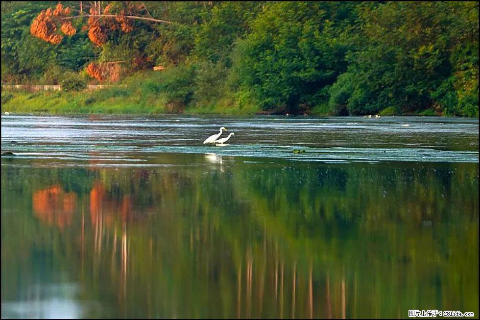 【春天,广西桂林灌阳县向您发出邀请!】熊家寨湿地公园 - 游山玩水 - 宁波生活社区 - 宁波28生活网 nb.28life.com