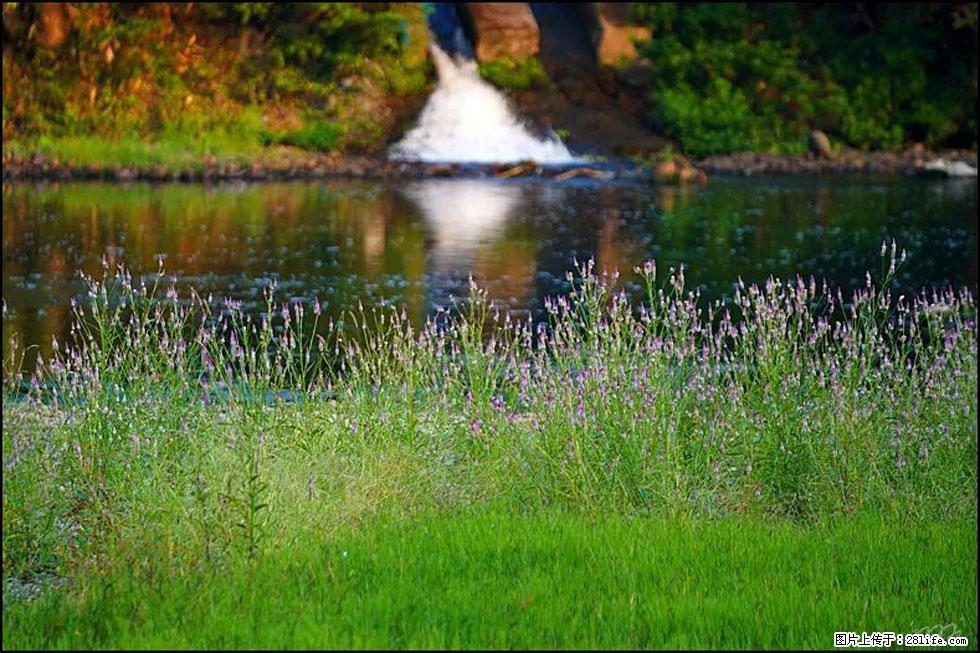 【春天,广西桂林灌阳县向您发出邀请!】熊家寨湿地公园 - 游山玩水 - 宁波生活社区 - 宁波28生活网 nb.28life.com