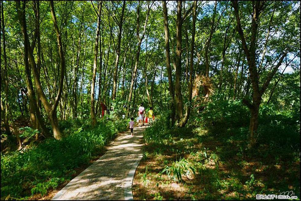 【春天,广西桂林灌阳县向您发出邀请!】熊家寨湿地公园 - 游山玩水 - 宁波生活社区 - 宁波28生活网 nb.28life.com