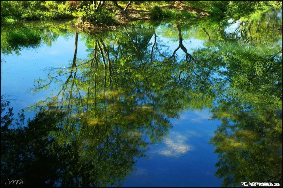 【春天,广西桂林灌阳县向您发出邀请!】熊家寨湿地公园 - 游山玩水 - 宁波生活社区 - 宁波28生活网 nb.28life.com