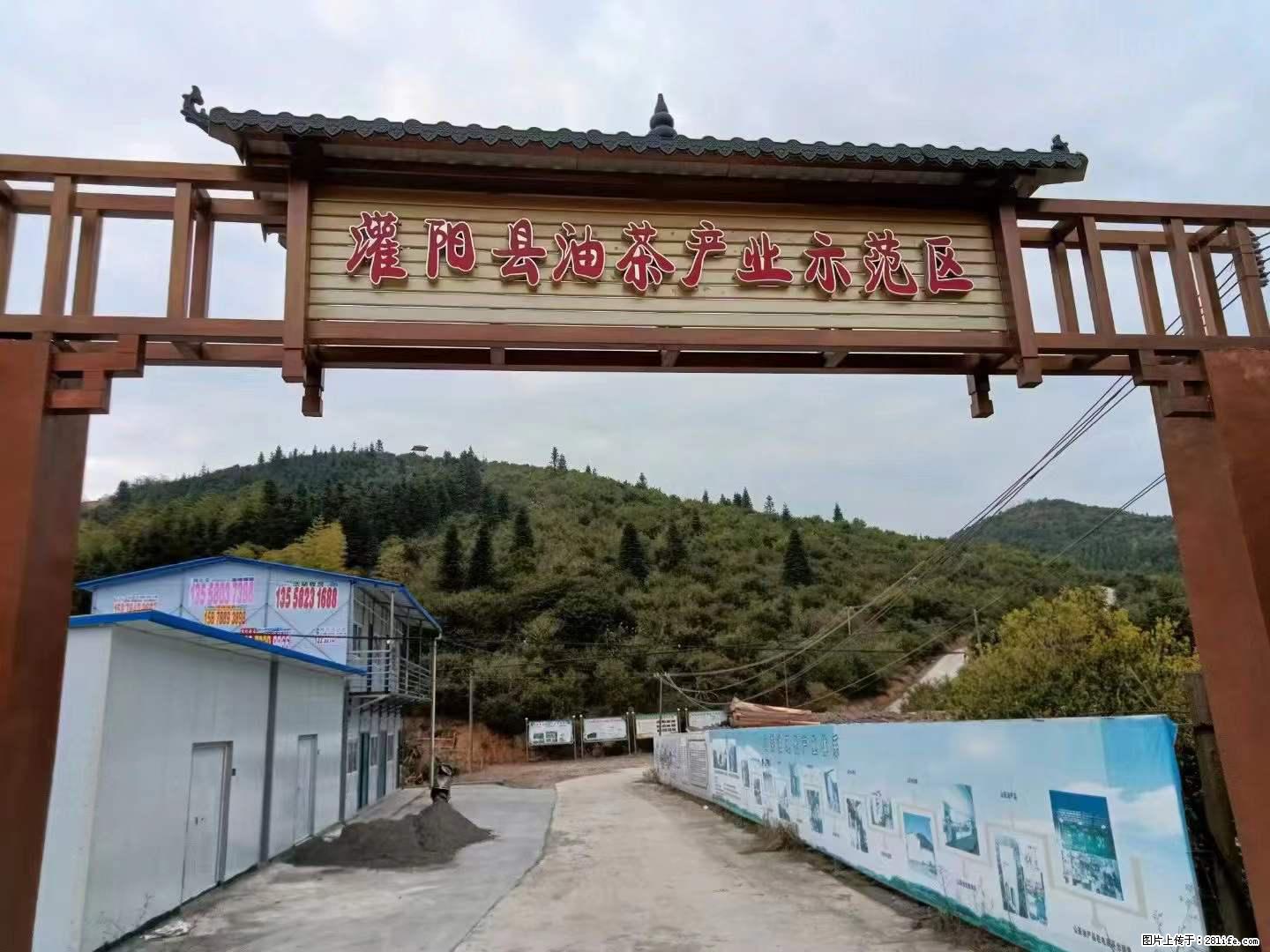 【灌阳县油茶产业示范区】一个有着充实的精神生活的人,对待身外之物自会有一种淡泊的态度 - 美食天地 - 宁波生活社区 - 宁波28生活网 nb.28life.com