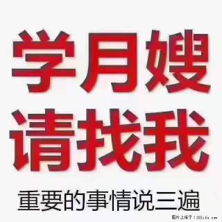 为什么要学习月嫂，育婴师？ - 宁波28生活网 nb.28life.com