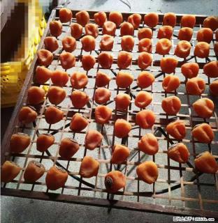 广西桂林平乐桥亭【柿饼之乡】2025年纯手工制作、无任何添加剂的第一批柿饼准备上市了，欢迎联系订购！ - 宁波28生活网 nb.28life.com