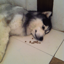 笑癫了！一女的怀孕三年未生，他终于忍不住了... - 娱乐八卦 - 宁波生活社区 - 宁波28生活网 nb.28life.com