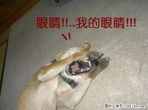 笑癫了！一女的怀孕三年未生，他终于忍不住了... - 娱乐八卦 - 宁波生活社区 - 宁波28生活网 nb.28life.com