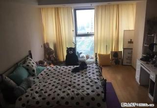 万达广场旁 联盛广场 豪华装修公寓出租 实图拍摄 随时看房 - 宁波28生活网 nb.28life.com