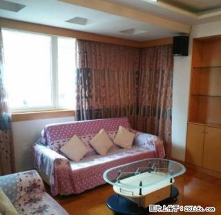 东柳百丈苑3室2厅精装干净首租实图真实有效房源 - 宁波28生活网 nb.28life.com