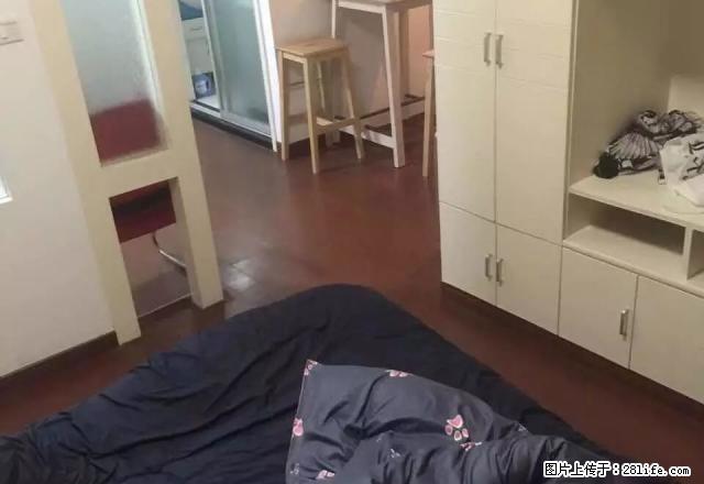 老外滩旁单身公寓，正规一室一厅，带独立燃气厨房 - 房屋出租 - 房屋租售 - 宁波分类信息 - 宁波28生活网 nb.28life.com