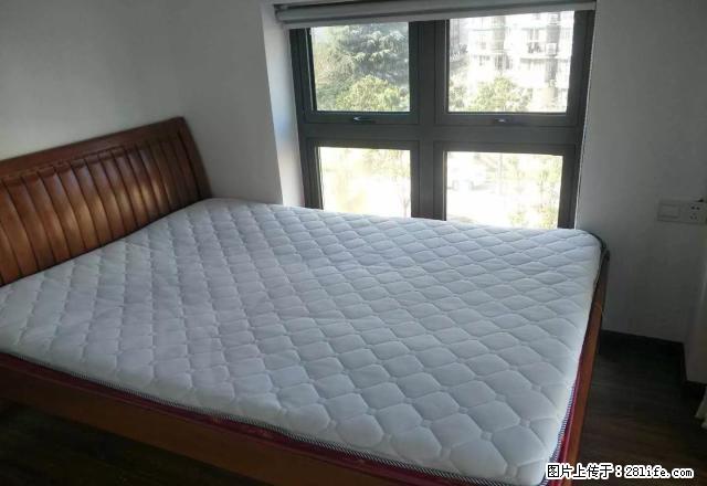 新典星座，临近南塘老街，启文花园，菜市场，可以短租， - 房屋出租 - 房屋租售 - 宁波分类信息 - 宁波28生活网 nb.28life.com