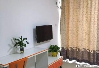 免中介 个人出租新装修公寓 高鑫广场东门对面 有停车位 - 宁波28生活网 nb.28life.com