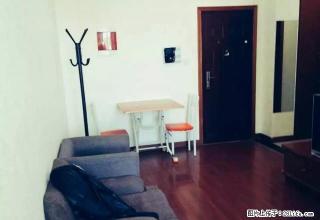万达广场 小城花园 精装无瑕疵一室一厅一卫出租 随时欢迎看房 - 宁波28生活网 nb.28life.com