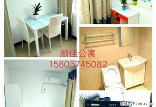 精品公寓，适合情侣，朋友，一家人住的公寓，（免手续费） - 宁波28生活网 nb.28life.com