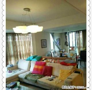 新房源 北岸琴森 现房出租 3室2厅2卫 随时看房 欢迎入住 - 宁波28生活网 nb.28life.com