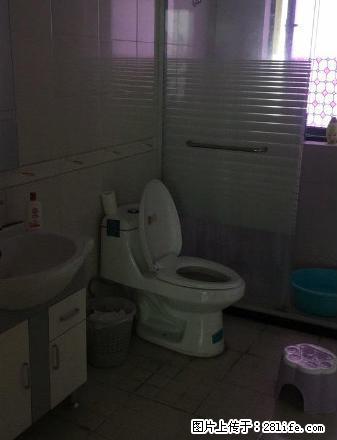 荣安琴湾 3100 特价 - 房屋出租 - 房屋租售 - 宁波分类信息 - 宁波28生活网 nb.28life.com