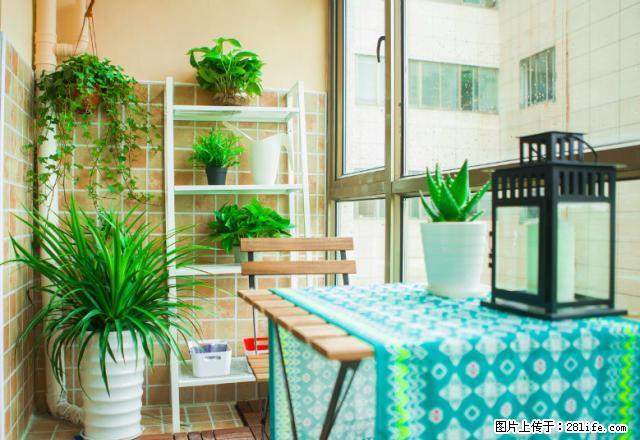 (单间出租)免中介 翔威公寓全新出租 家电齐全 全玻璃大 车位充足 - 房屋出租 - 房屋租售 - 宁波分类信息 - 宁波28生活网 nb.28life.com