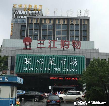 月之明公寓朝南美屋特价出租 ,包物业包宽带无中介费,可做饭 - 房屋出租 - 房屋租售 - 宁波分类信息 - 宁波28生活网 nb.28life.com