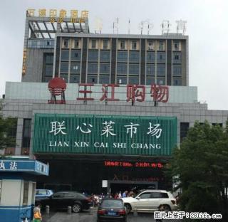 月之明公寓朝南美屋特价出租 ，包物业包宽带无中介费，可做饭 - 宁波28生活网 nb.28life.com