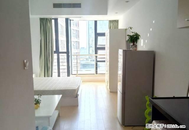 个人出租海曙望春高鑫广场旁21码头附近新星龙湾精装公寓 - 房屋出租 - 房屋租售 - 宁波分类信息 - 宁波28生活网 nb.28life.com