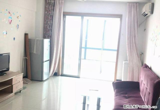 星河晨光方圆中心江东欧尚旁50平精装修 - 房屋出租 - 房屋租售 - 宁波分类信息 - 宁波28生活网 nb.28life.com