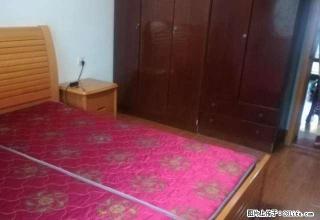 印象城和邦大厦附近桑园新村精装单间出租随时看房拎包入住 - 宁波28生活网 nb.28life.com