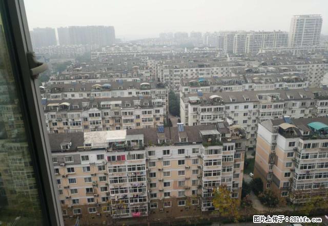 标准的一室一厅，客卧分开，随时可以看房 - 房屋出租 - 房屋租售 - 宁波分类信息 - 宁波28生活网 nb.28life.com