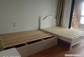 (单间出租)梅墟金地东御精装一室一厅家具家电齐拎包入住看房方便1300 - 宁波28生活网 nb.28life.com