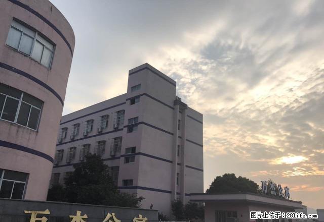 个人 奉化三横 万杰酒店式公寓 全新装修di价便宜出租啦 - 房屋出租 - 房屋租售 - 宁波分类信息 - 宁波28生活网 nb.28life.com