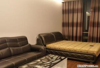 高新区 江南一品豪华一室一厅 真皮沙发真皮大双人床有钥匙多套 - 宁波28生活网 nb.28life.com