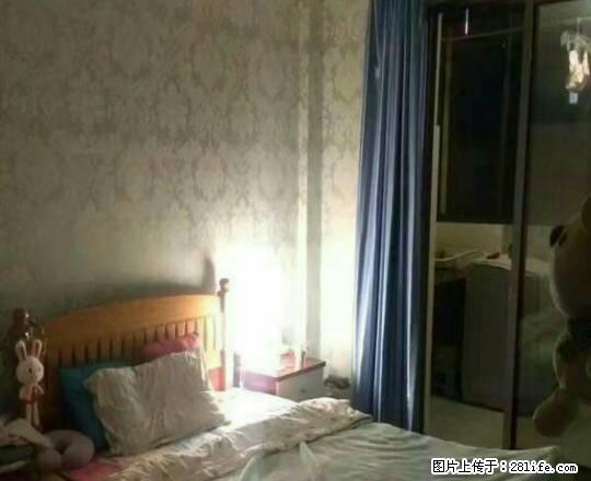 出租，青年才郡，两室一厅一卫，2050，一个月，交通方便。 - 房屋出租 - 房屋租售 - 宁波分类信息 - 宁波28生活网 nb.28life.com