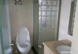 常青藤单身公寓一室户朝南1700元实拍照片有钥匙 - 宁波28生活网 nb.28life.com