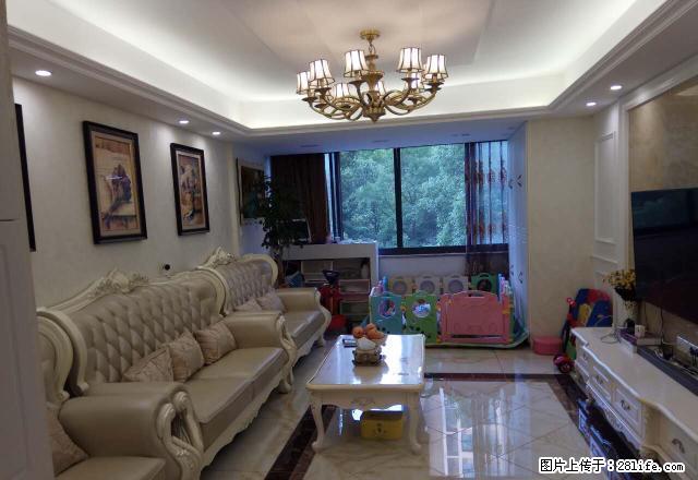 钟盈小区63平,精装2500元家电齐位置好 - 房屋出租 - 房屋租售 - 宁波分类信息 - 宁波28生活网 nb.28life.com